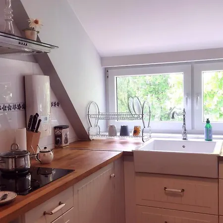 Shiba * Gdańsk