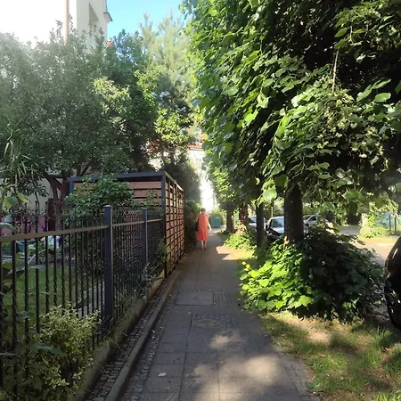 Shiba * Gdańsk