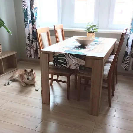 Apartment Shiba *